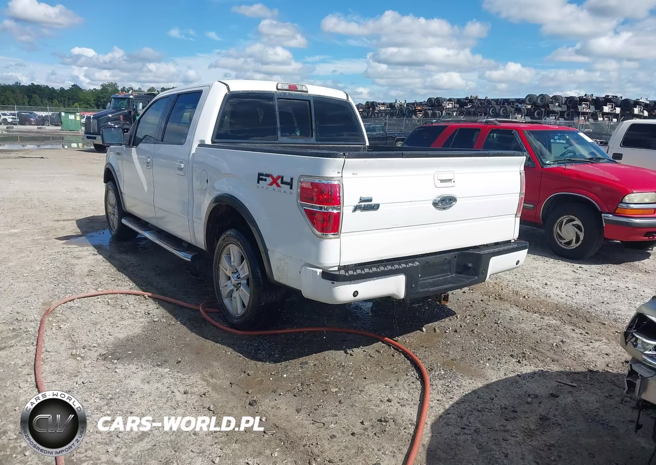 2010 Ford F-150 Fx4-Harley-Davidson-King Ranch-Lariat-Platinum-Xl-Xlt VIN:1FTFW1EVXAFC88109 - 3