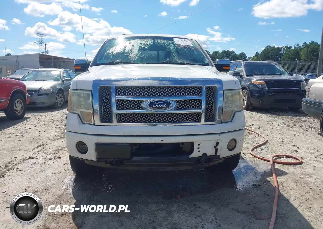 2010 Ford F-150 Fx4-Harley-Davidson-King Ranch-Lariat-Platinum-Xl-Xlt VIN:1FTFW1EVXAFC88109 - 6