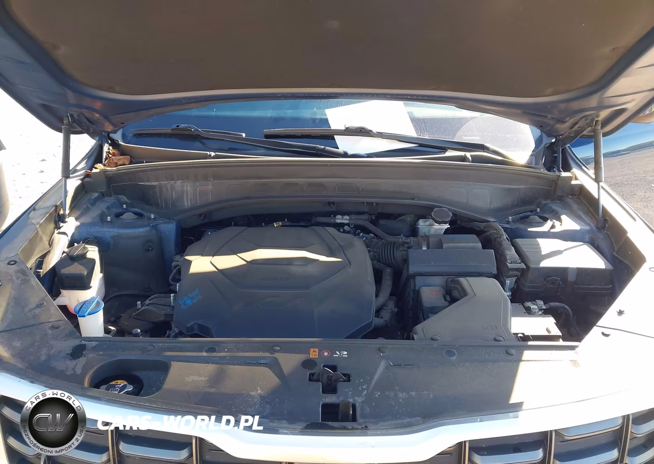 2023 Kia Telluride S VIN:5XYP6DGC8PG403488 - 10