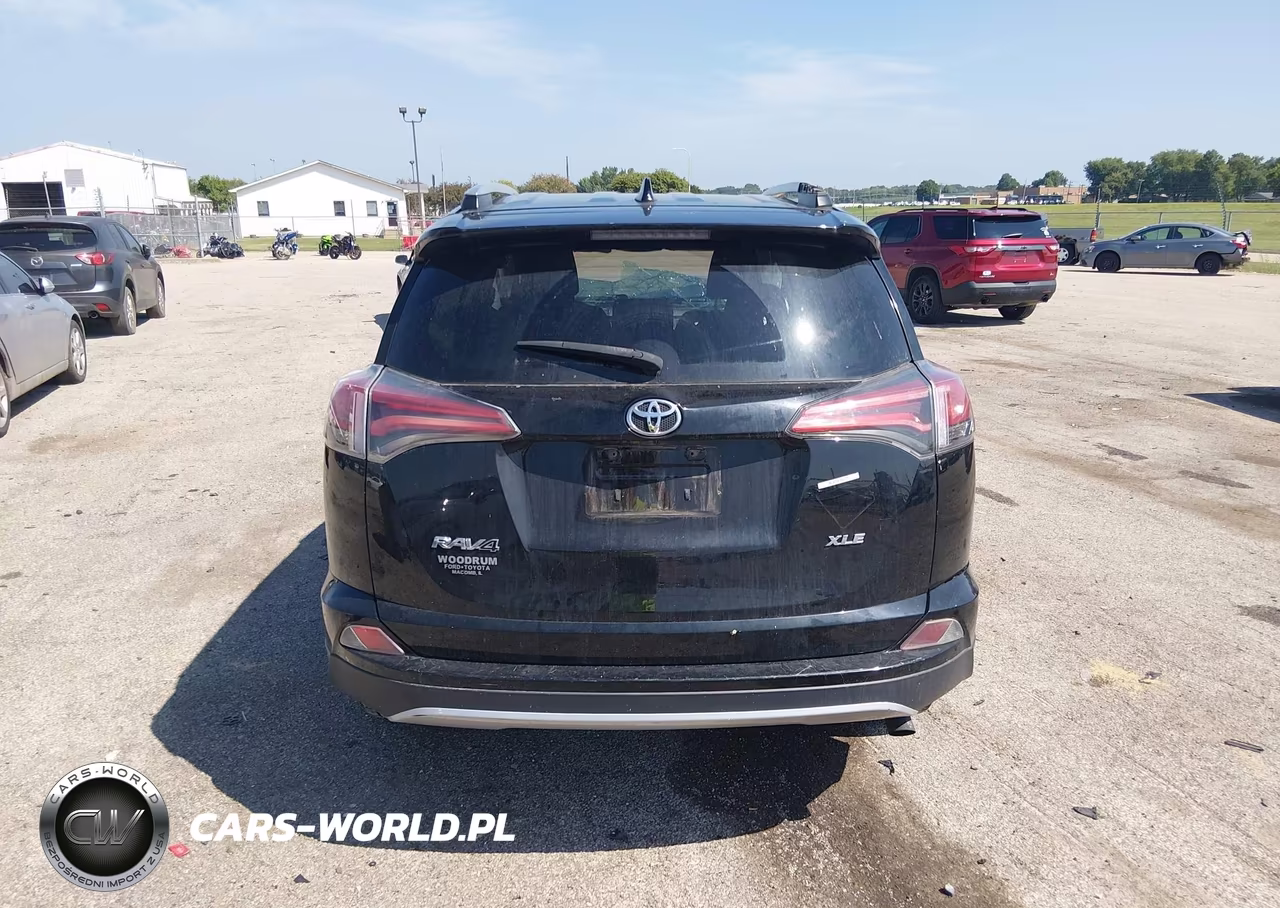 2016 Toyota Rav4 Xle VIN:2T3WFREV2GW262996 - 17