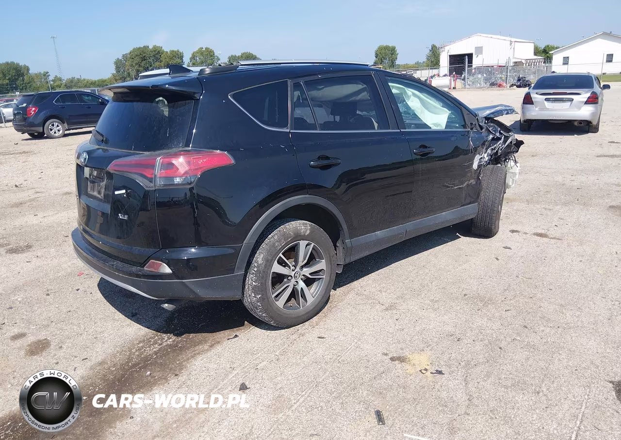 2016 Toyota Rav4 Xle VIN:2T3WFREV2GW262996 - 4