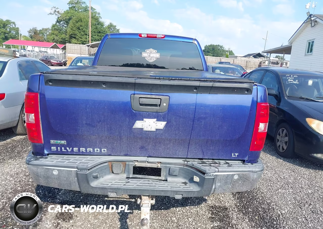 2010 Chevrolet Silverado 1500 Lt VIN:1GCSKSE38AZ214491 - 17