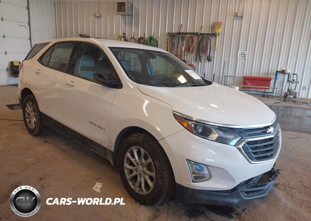 2019 Chevrolet Equinox Ls – zdjęcie 1 z 16