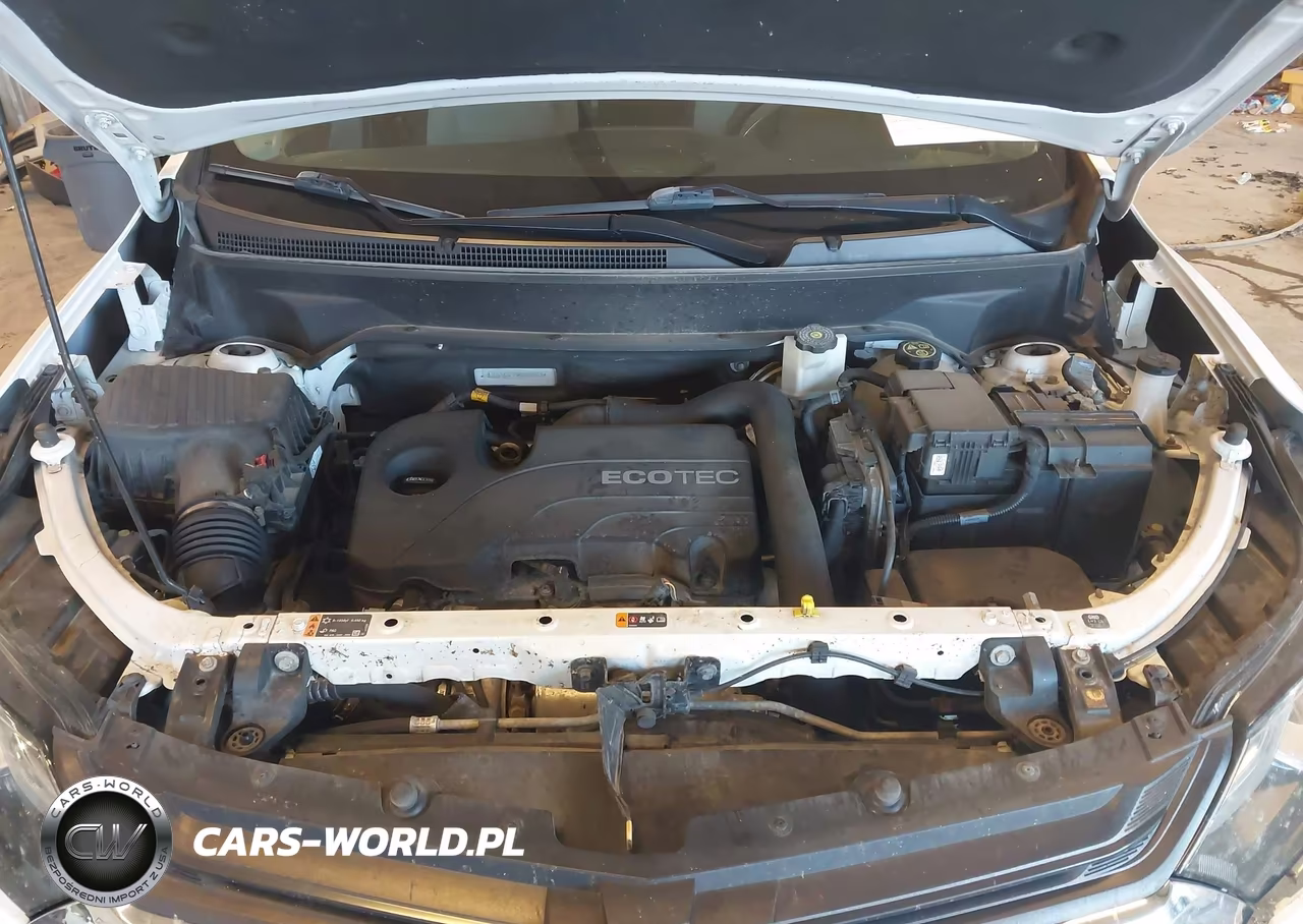 2019 Chevrolet Equinox Ls VIN:3GNAXSEV9KS557668 - 10
