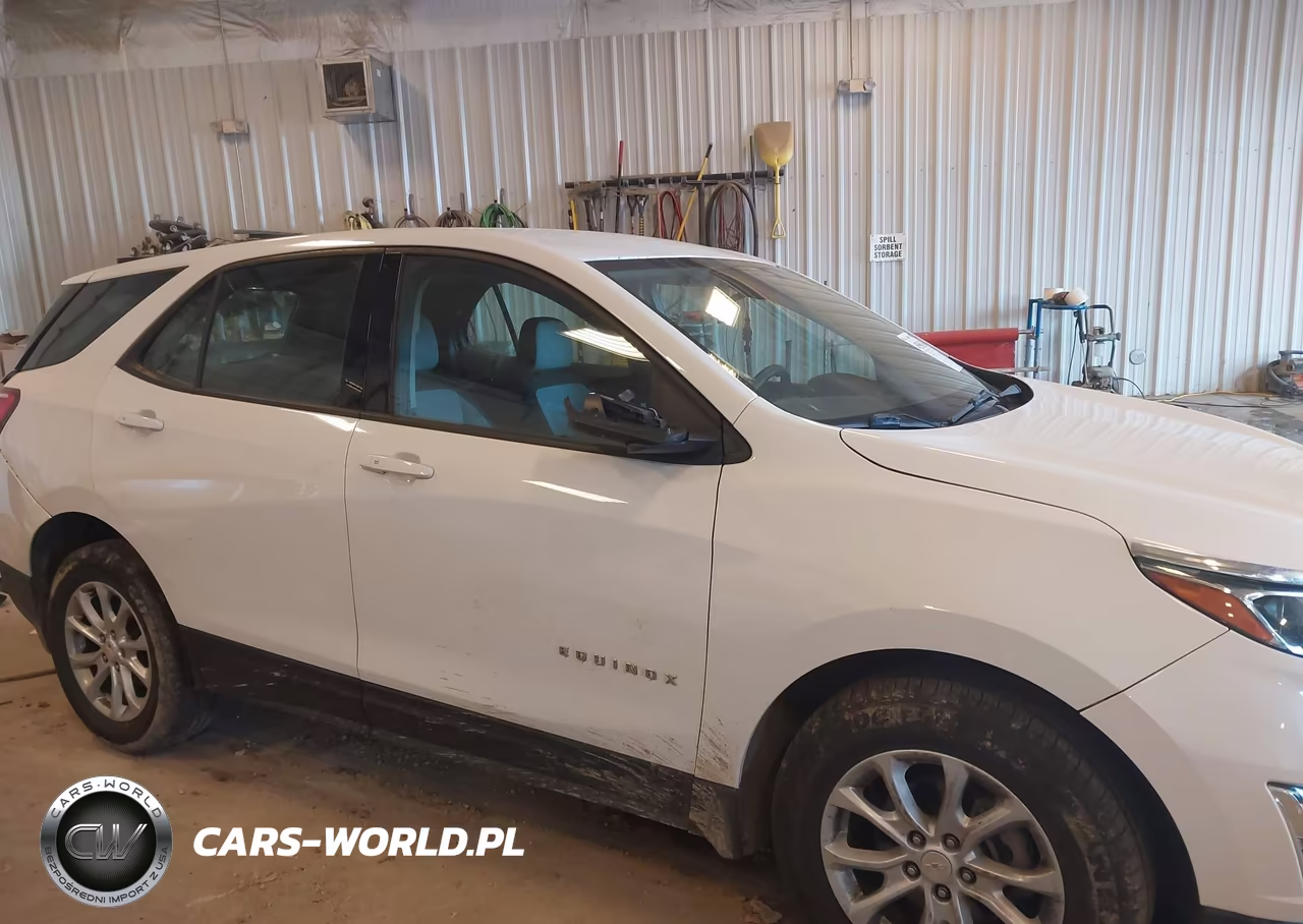 2019 Chevrolet Equinox Ls VIN:3GNAXSEV9KS557668 - 13