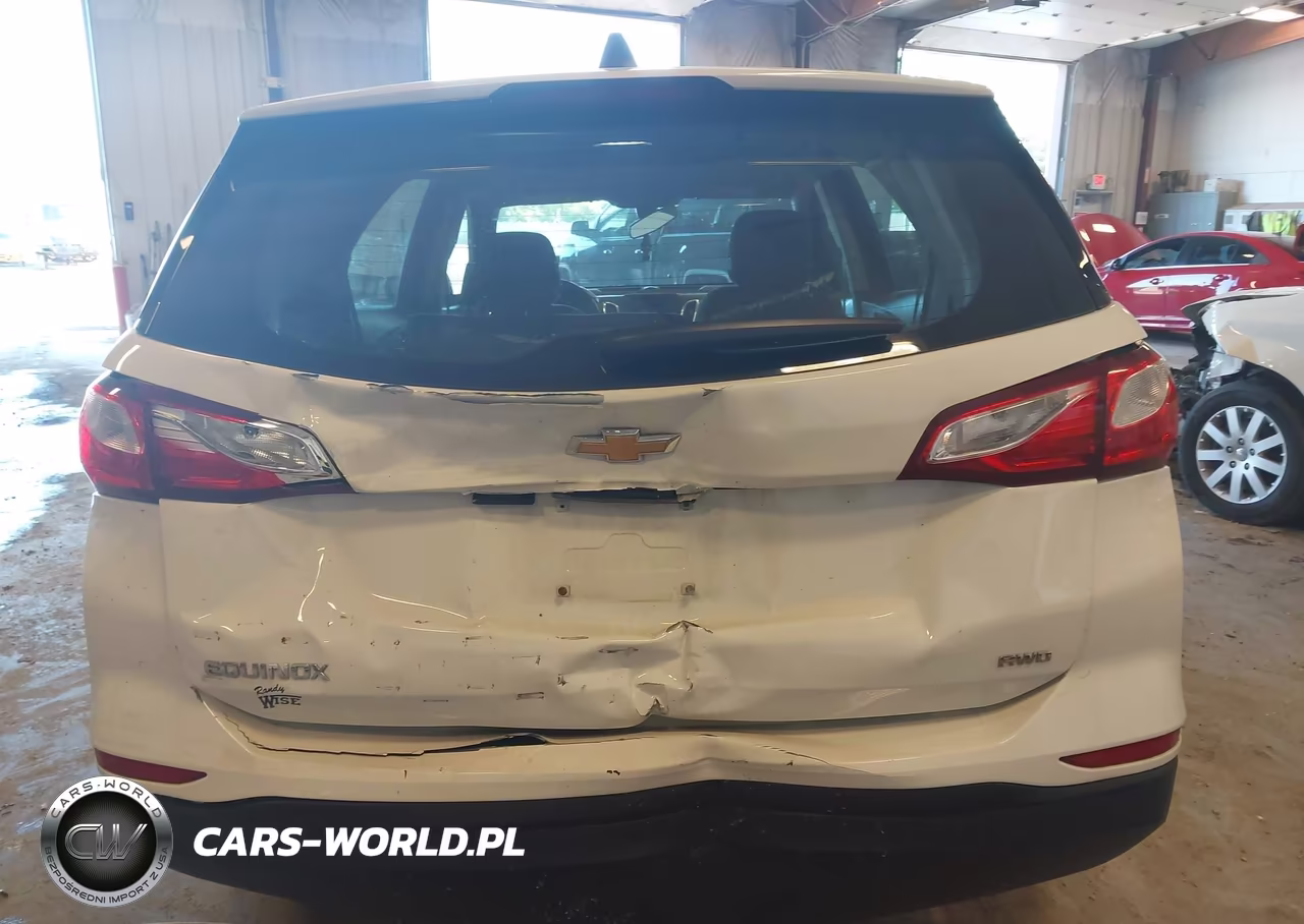 2019 Chevrolet Equinox Ls VIN:3GNAXSEV9KS557668 - 16