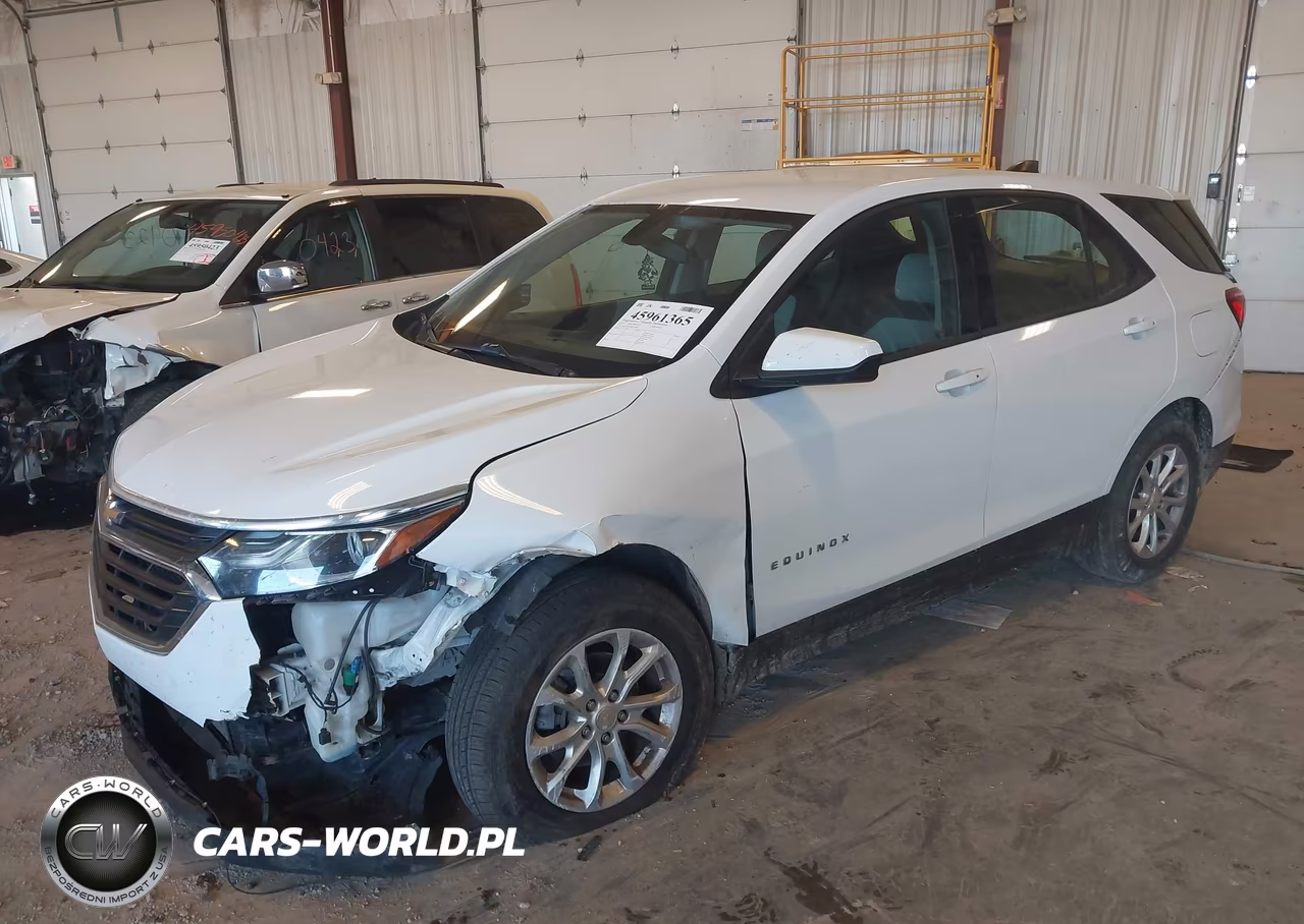 2019 Chevrolet Equinox Ls VIN:3GNAXSEV9KS557668 - 2
