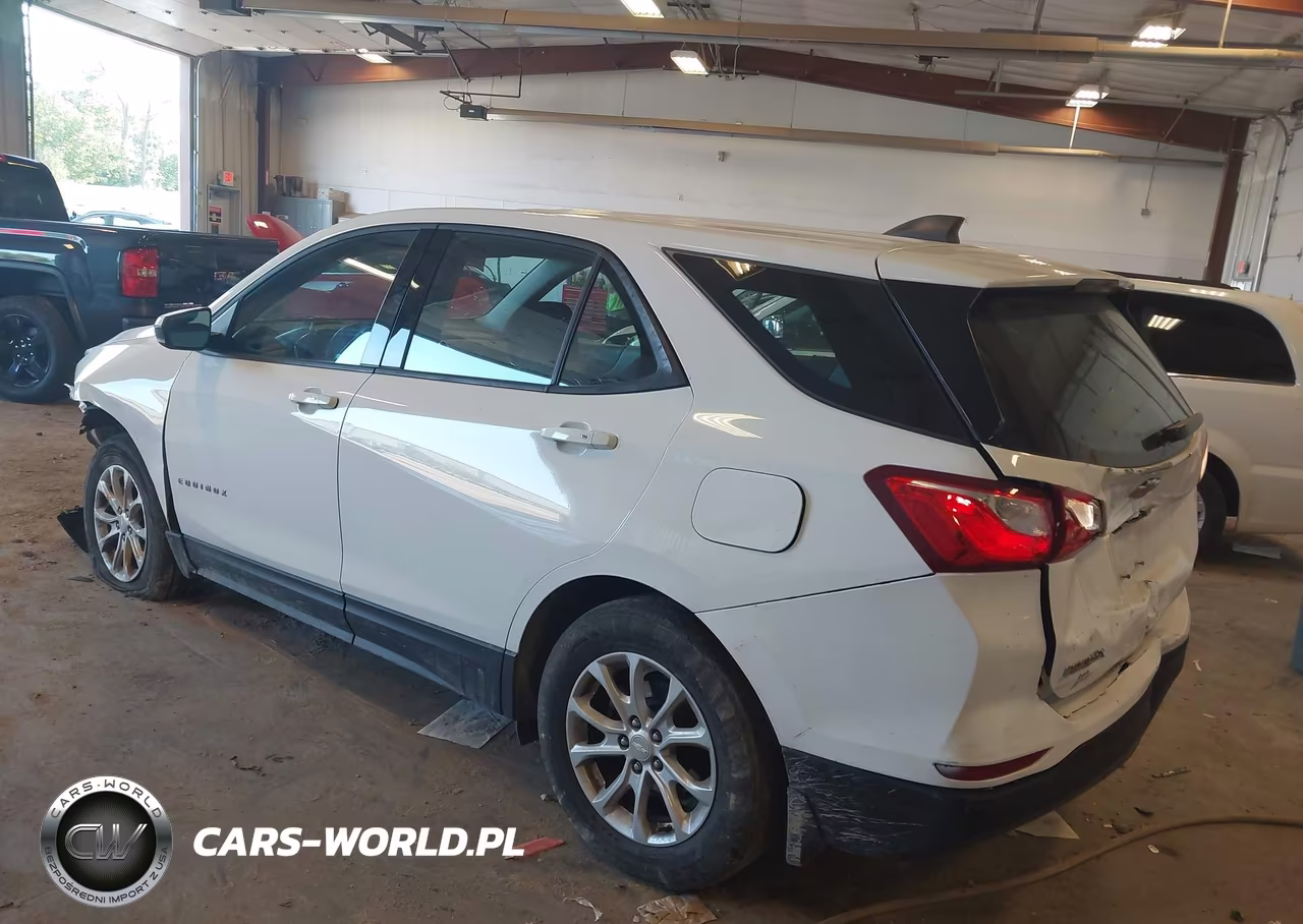 2019 Chevrolet Equinox Ls VIN:3GNAXSEV9KS557668 - 3