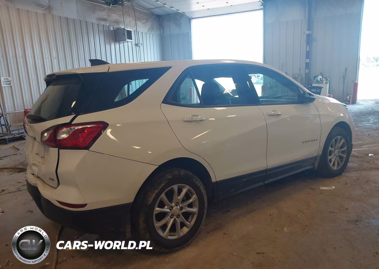 2019 Chevrolet Equinox Ls VIN:3GNAXSEV9KS557668 - 4