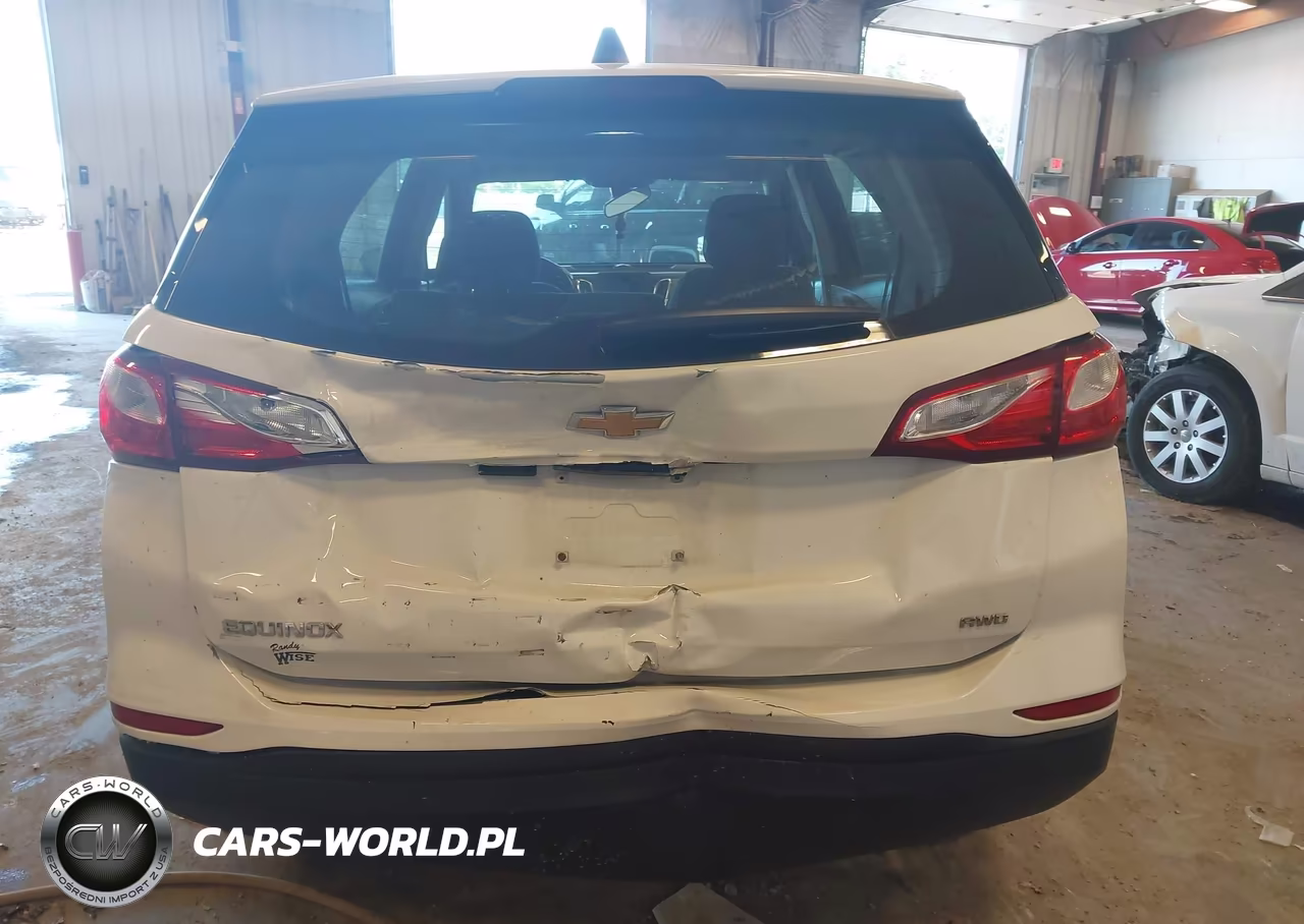 2019 Chevrolet Equinox Ls VIN:3GNAXSEV9KS557668 - 6