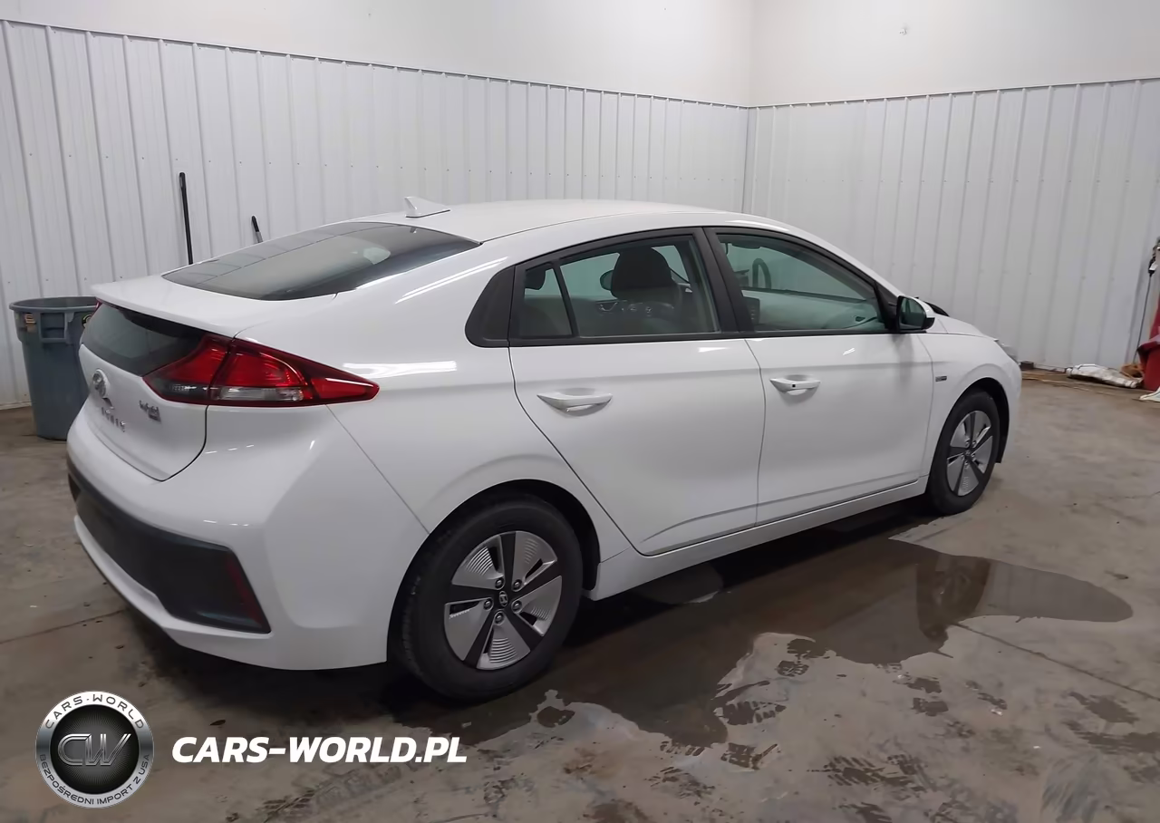 2020 Hyundai Ioniq Hybrid Blue VIN:KMHC65LC7LU233283 - 4