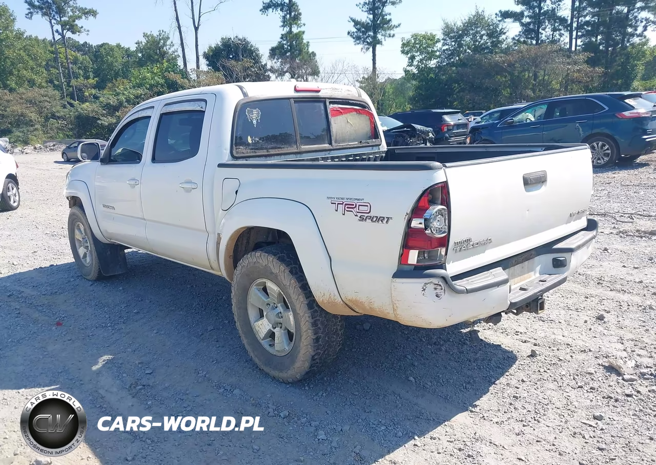 2010 Toyota Tacoma Base V6 VIN:5TELU4EN9AZ714806 - 3