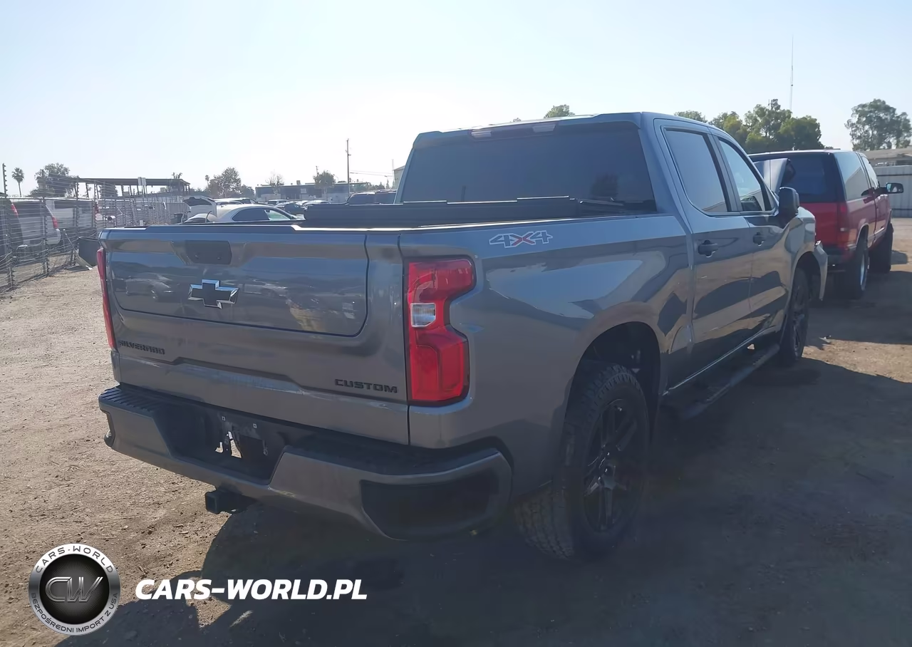2022 Chevrolet Silverado 1500 Ltd 4Wd Short Bed Custom VIN:3GCPYBEK2NG149364 - 4