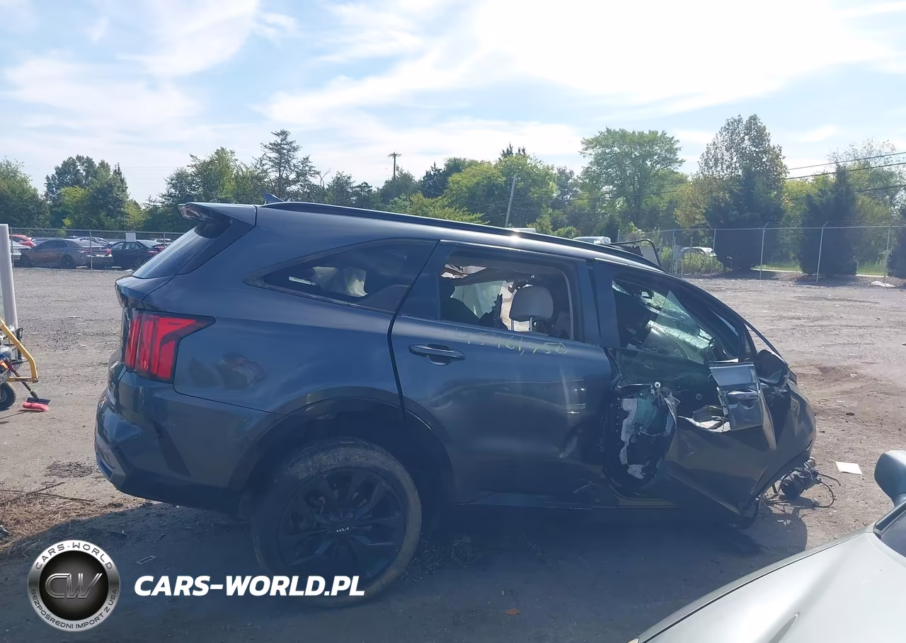 2023 Kia Sorento Sx VIN:5XYRKDLFXPG181086 - 12