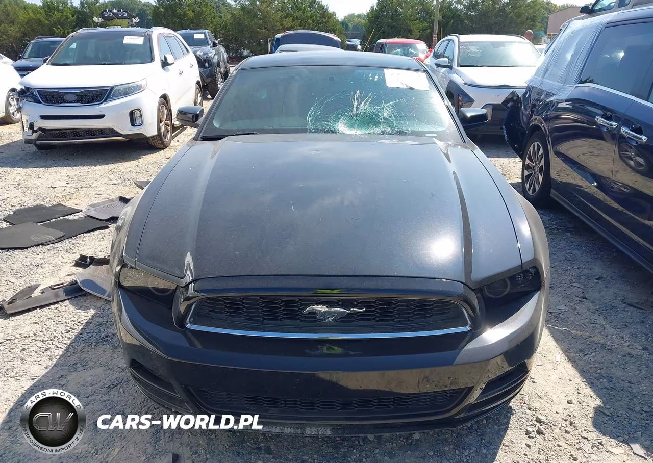 2013 Ford Mustang VIN:1ZVBP8AM0D5262045 - 12