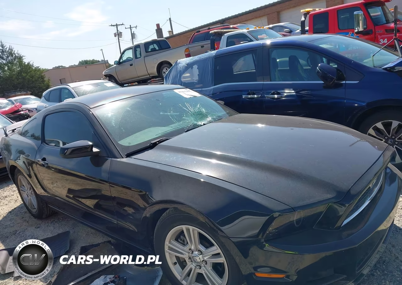 2013 Ford Mustang VIN:1ZVBP8AM0D5262045 - 13