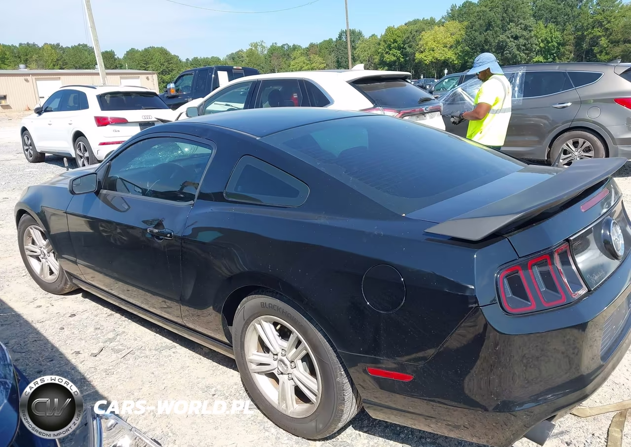 2013 Ford Mustang VIN:1ZVBP8AM0D5262045 - 14