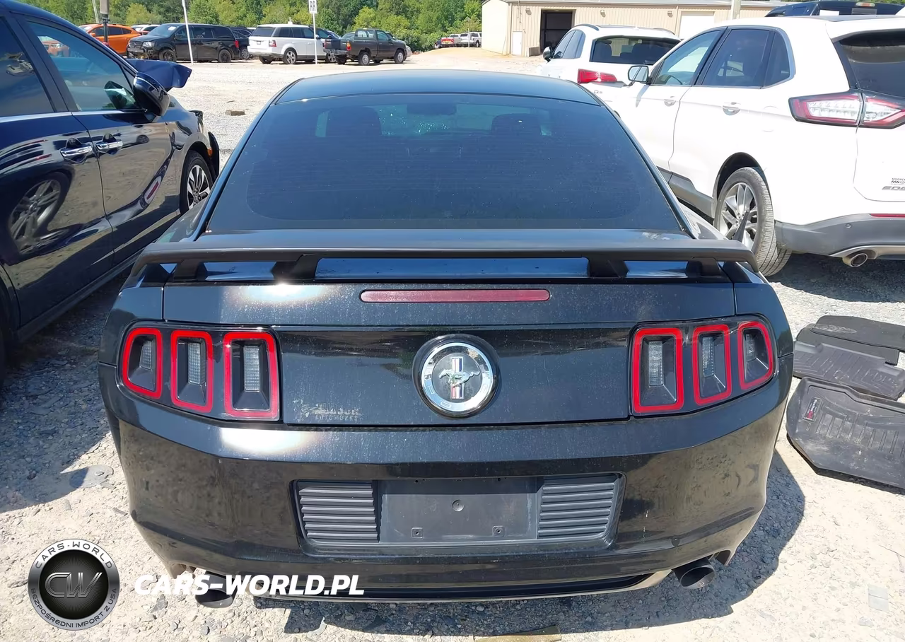 2013 Ford Mustang VIN:1ZVBP8AM0D5262045 - 16