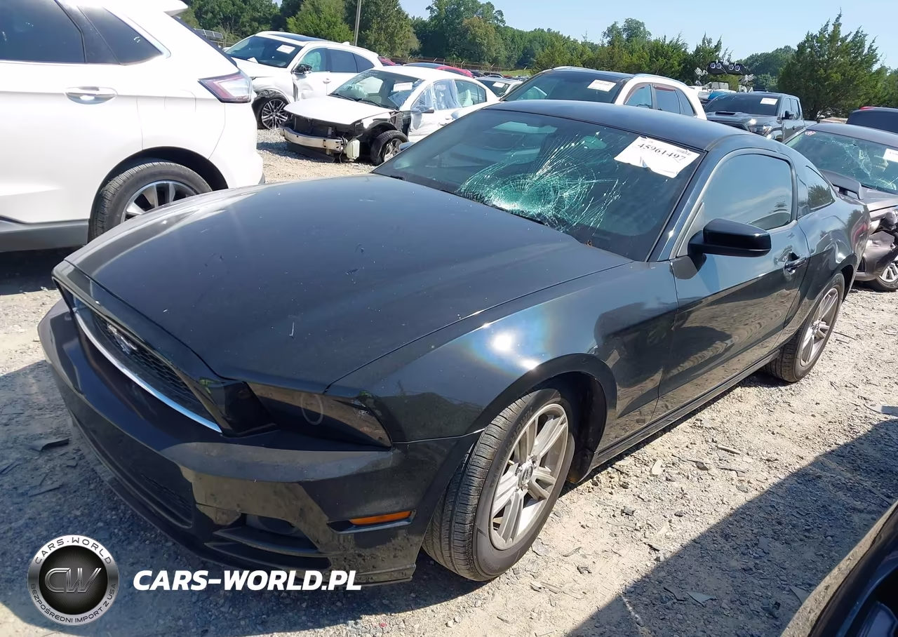 2013 Ford Mustang VIN:1ZVBP8AM0D5262045 - 2