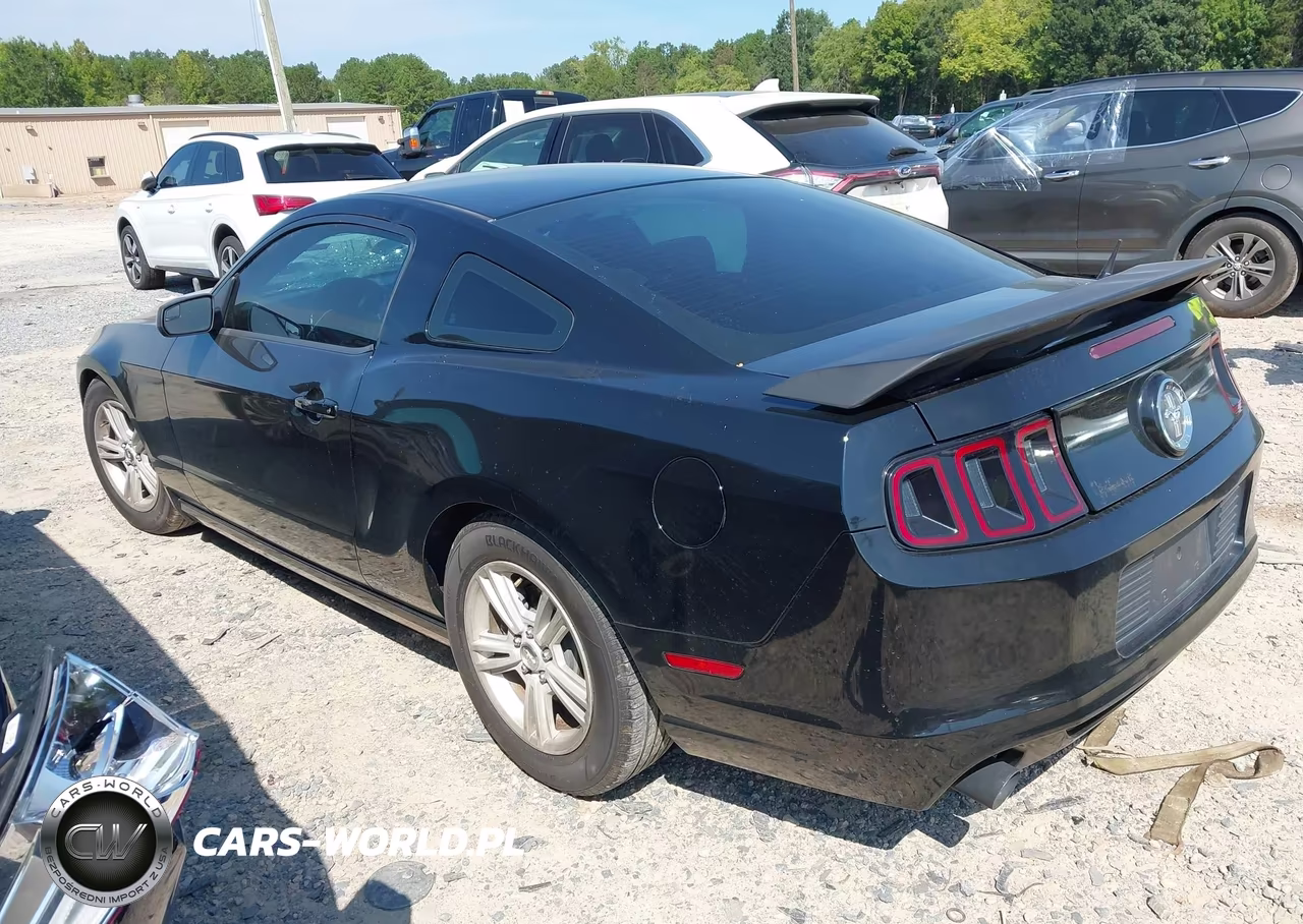 2013 Ford Mustang VIN:1ZVBP8AM0D5262045 - 3