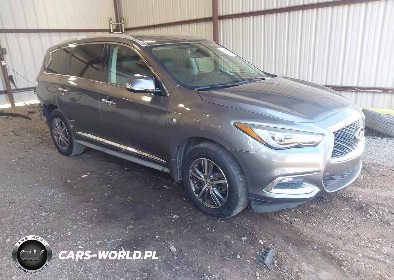 2019 Infiniti Qx60 Luxe VIN:5N1DL0MN8KC511032 - 1