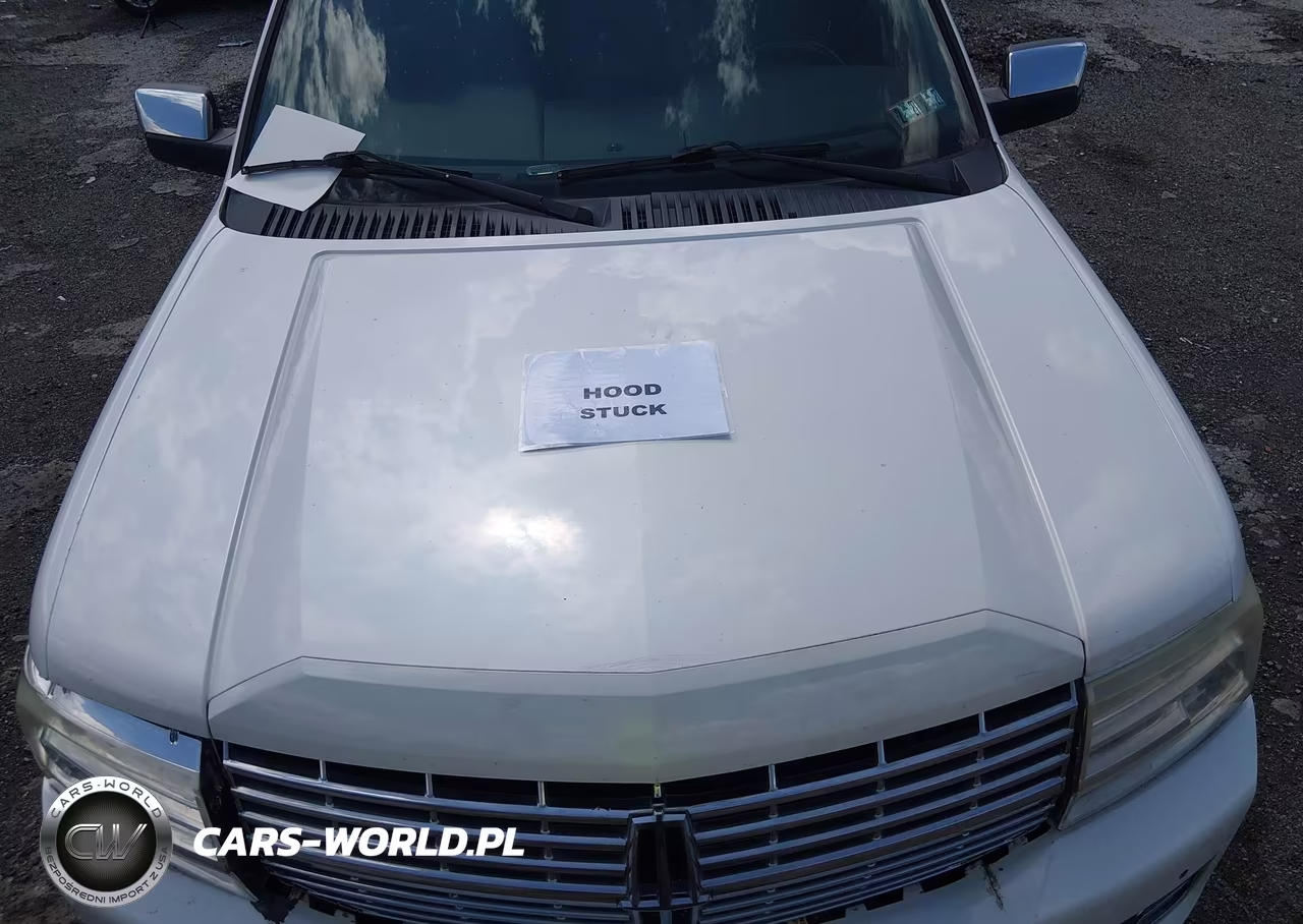 2011 Lincoln Navigator VIN:5LMJJ2J52BEJ09615 - 10