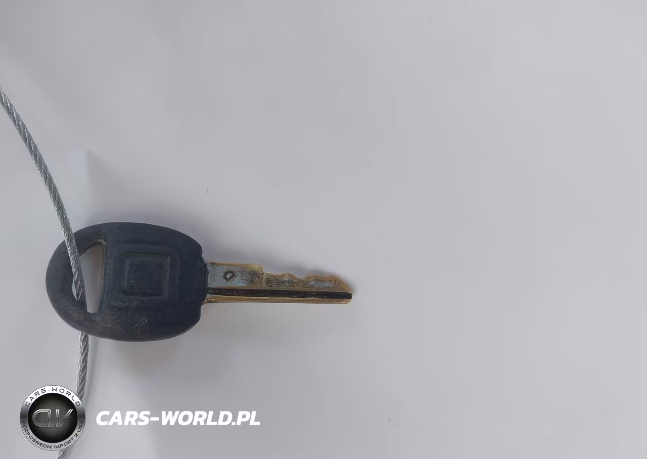 1989 Chevrolet Corvette VIN:1G1YY2189K5113181 - 11
