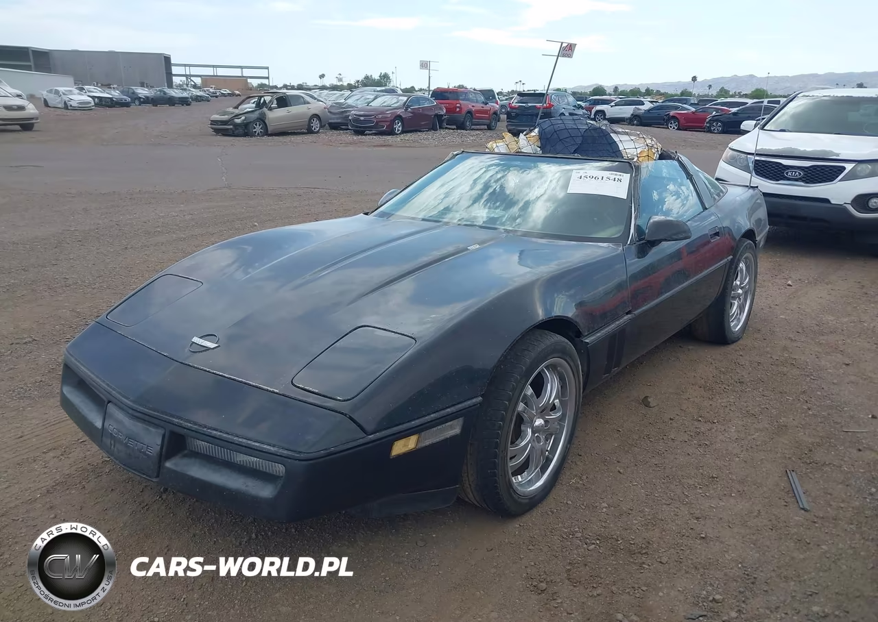 1989 Chevrolet Corvette VIN:1G1YY2189K5113181 - 2