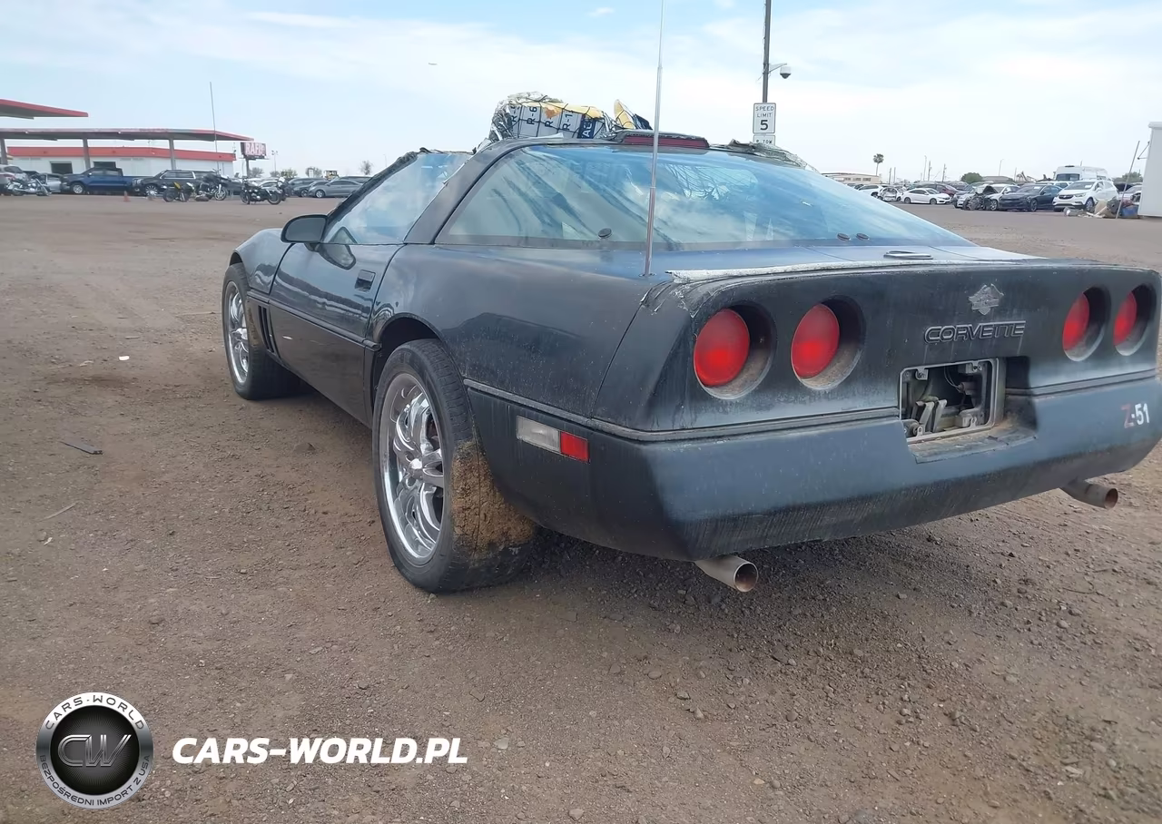 1989 Chevrolet Corvette VIN:1G1YY2189K5113181 - 3