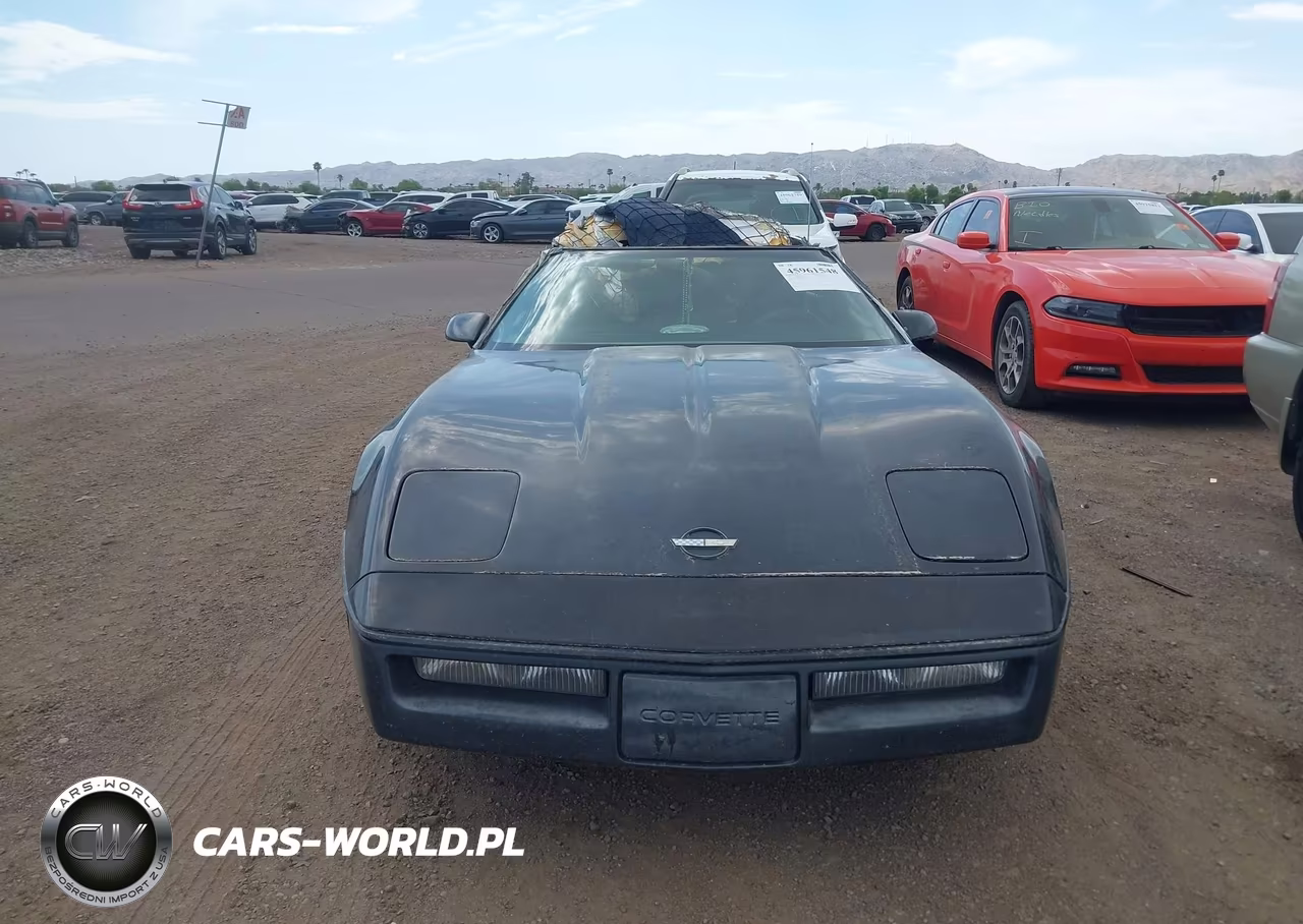 1989 Chevrolet Corvette VIN:1G1YY2189K5113181 - 6