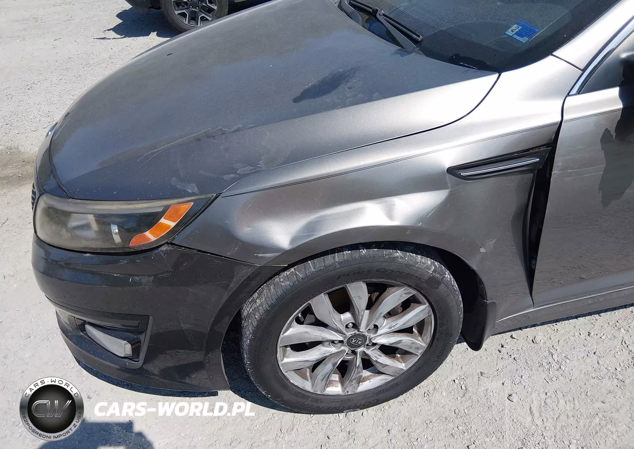 2014 Kia Optima Ex VIN:5XXGN4A73EG299007 - 19