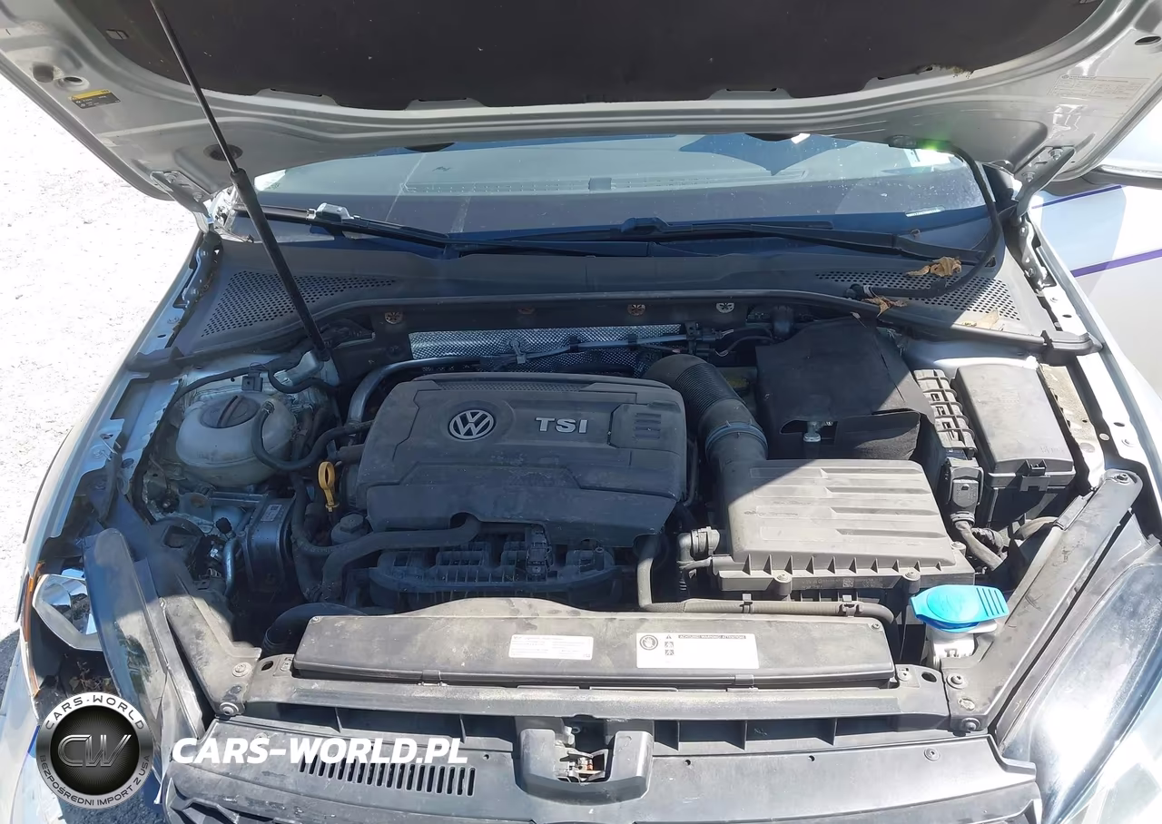 2017 Volkswagen Golf Alltrack Tsi S-Tsi Se-Tsi Sel VIN:3VWH17AU7HM515965 - 10