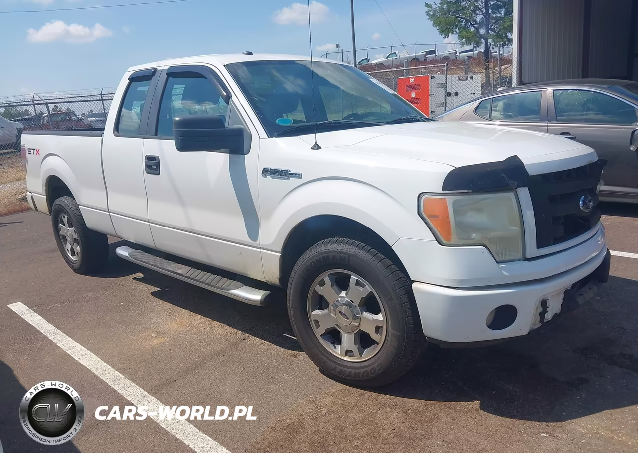 2009 Ford F-150 Stx-Xl