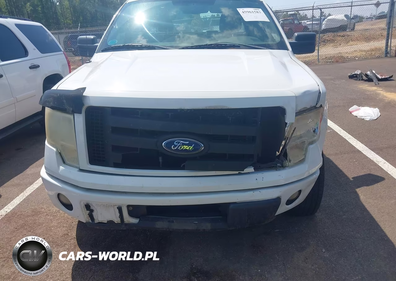 2009 Ford F-150 Stx-Xl VIN:1FTRX12W69FA86323 - 13