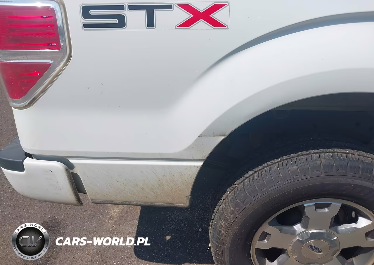 2009 Ford F-150 Stx-Xl VIN:1FTRX12W69FA86323 - 14