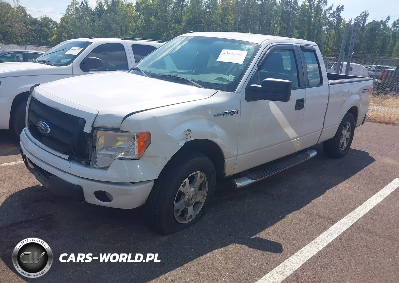 2009 Ford F-150 Stx-Xl VIN:1FTRX12W69FA86323 - 2