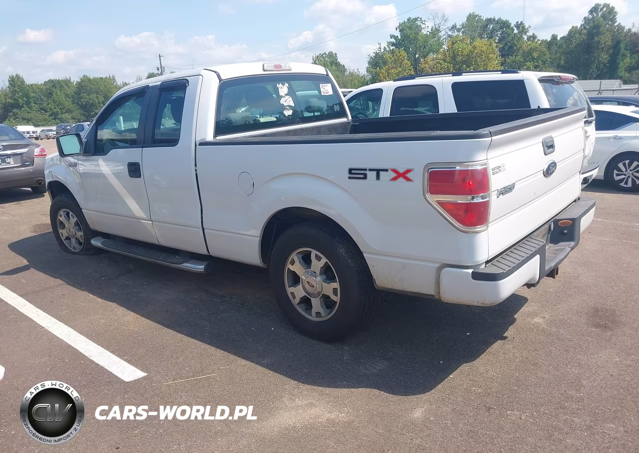 2009 Ford F-150 Stx-Xl VIN:1FTRX12W69FA86323 - 3