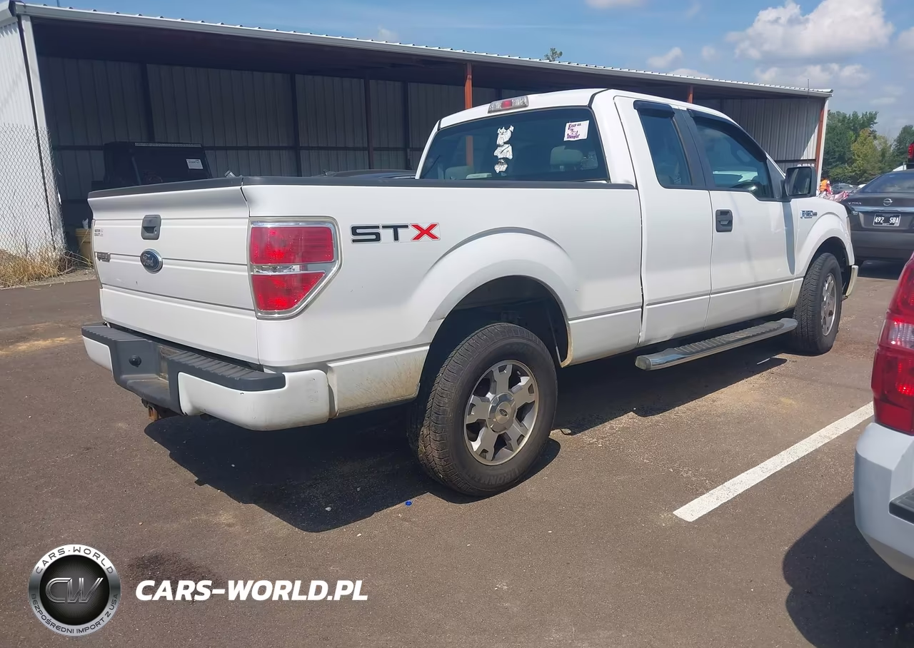 2009 Ford F-150 Stx-Xl VIN:1FTRX12W69FA86323 - 4