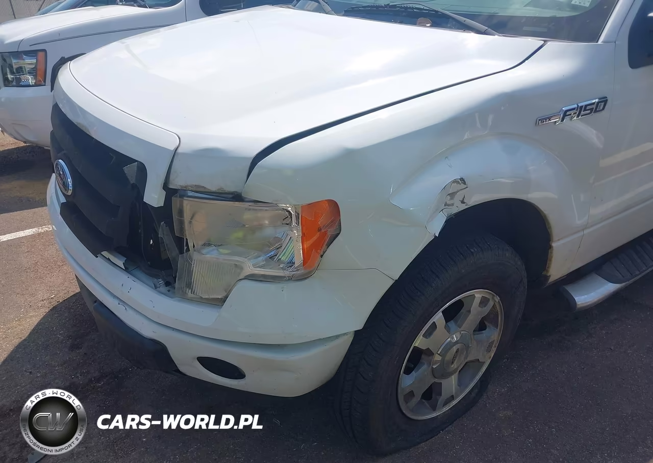 2009 Ford F-150 Stx-Xl VIN:1FTRX12W69FA86323 - 6