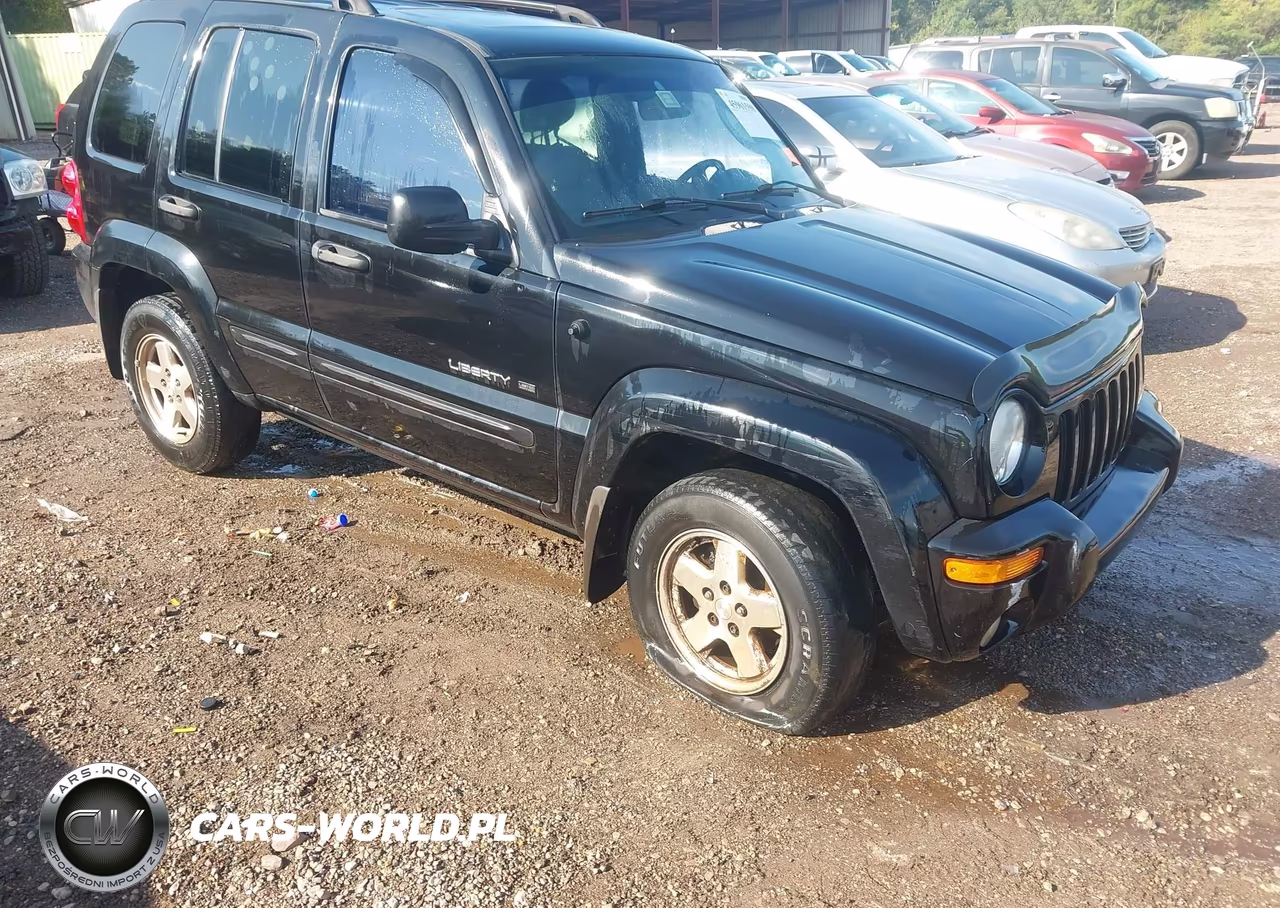 2003 Jeep Liberty Limited Edition VIN:1J4GK58K43W559302 - 1
