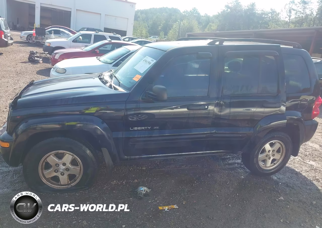 2003 Jeep Liberty Limited Edition VIN:1J4GK58K43W559302 - 12