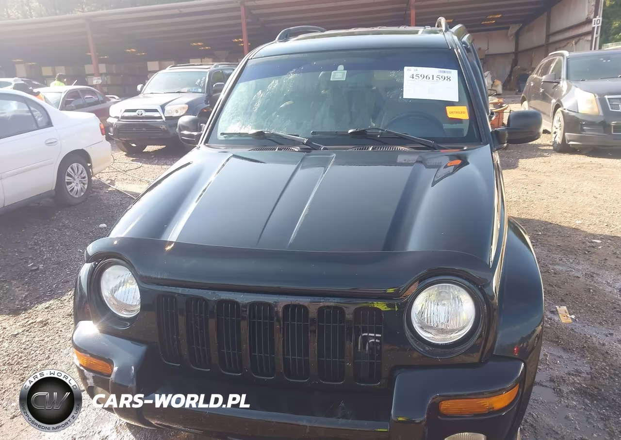 2003 Jeep Liberty Limited Edition VIN:1J4GK58K43W559302 - 13