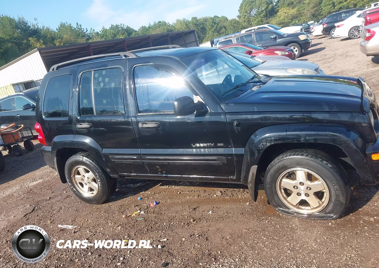 2003 Jeep Liberty Limited Edition VIN:1J4GK58K43W559302 - 14