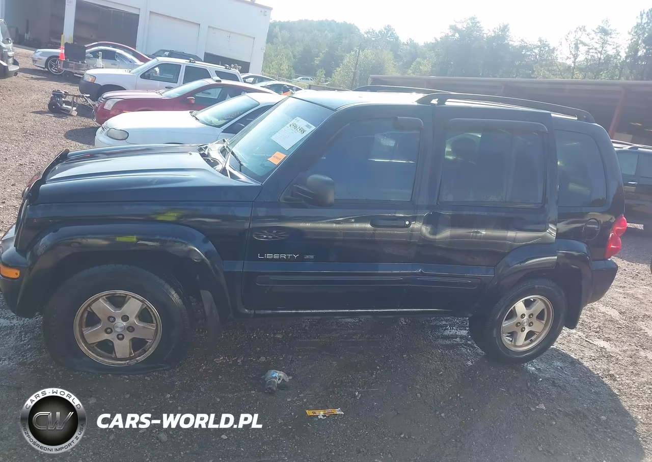 2003 Jeep Liberty Limited Edition VIN:1J4GK58K43W559302 - 15