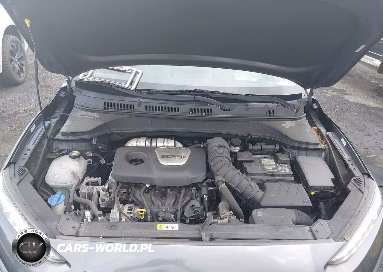 2019 Hyundai Kona Ultimate VIN:KM8K5CA53KU247428 - 10