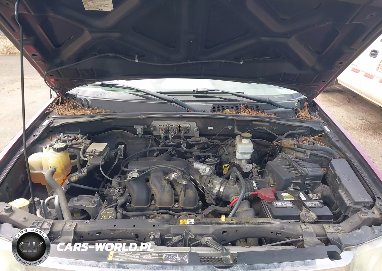 2008 Ford Escape Xlt VIN:1FMCU03108KE38356 - 10