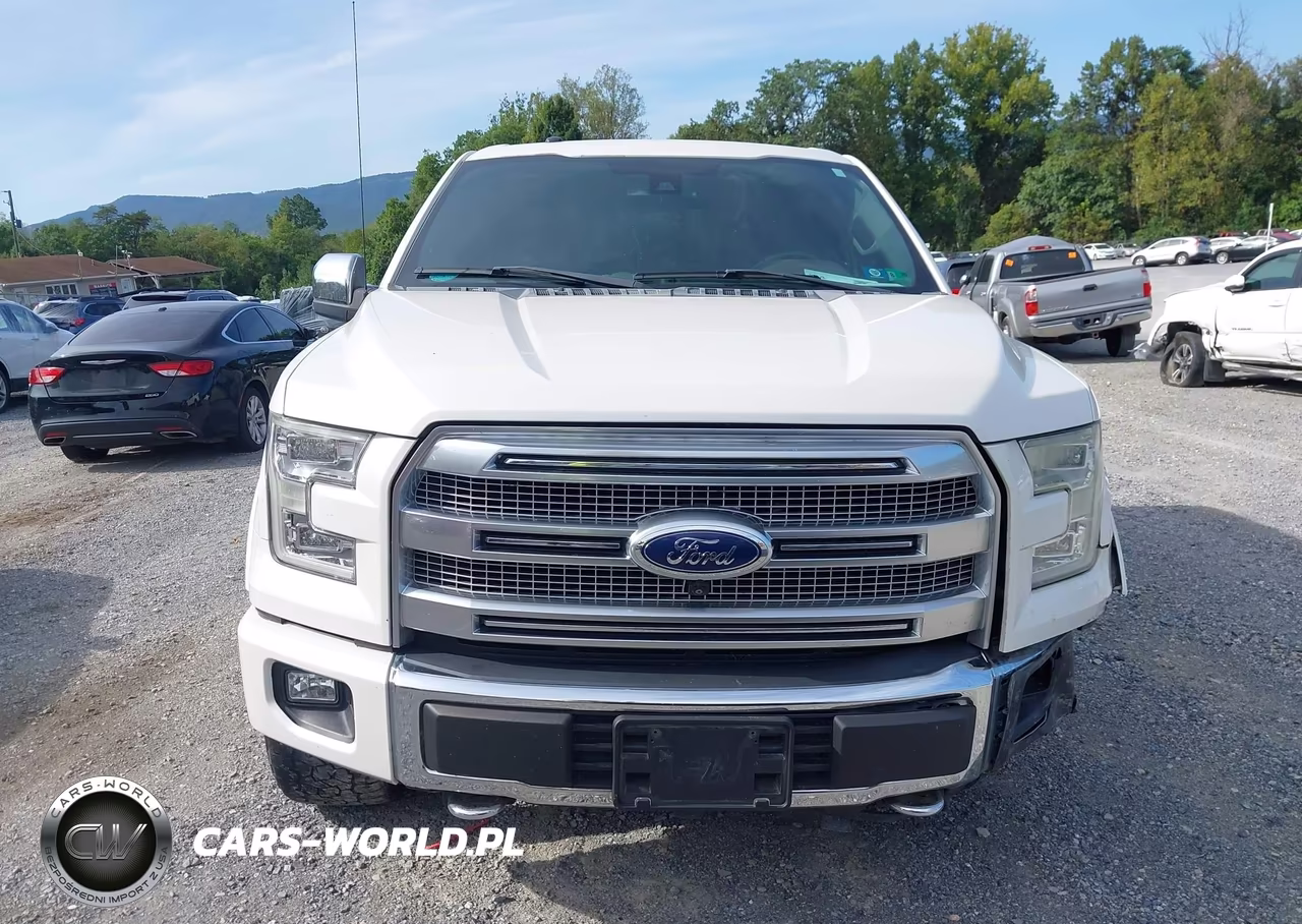 2015 Ford F-150 Platinum VIN:1FTEW1EG0FFB87410 - 12