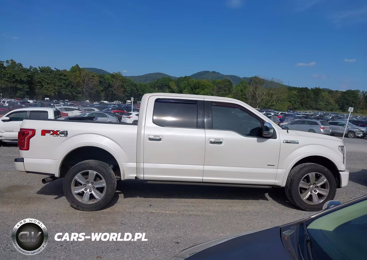 2015 Ford F-150 Platinum VIN:1FTEW1EG0FFB87410 - 13