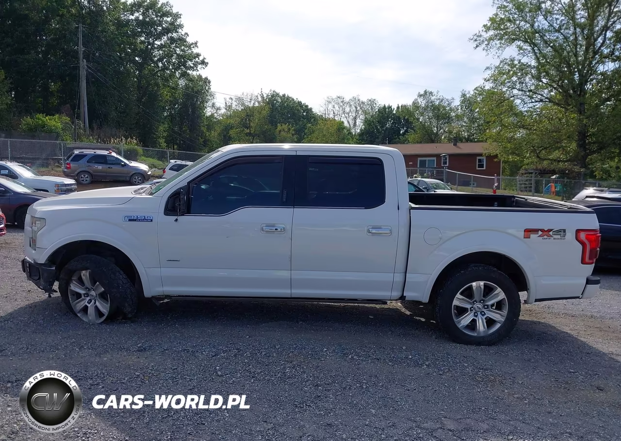 2015 Ford F-150 Platinum VIN:1FTEW1EG0FFB87410 - 14