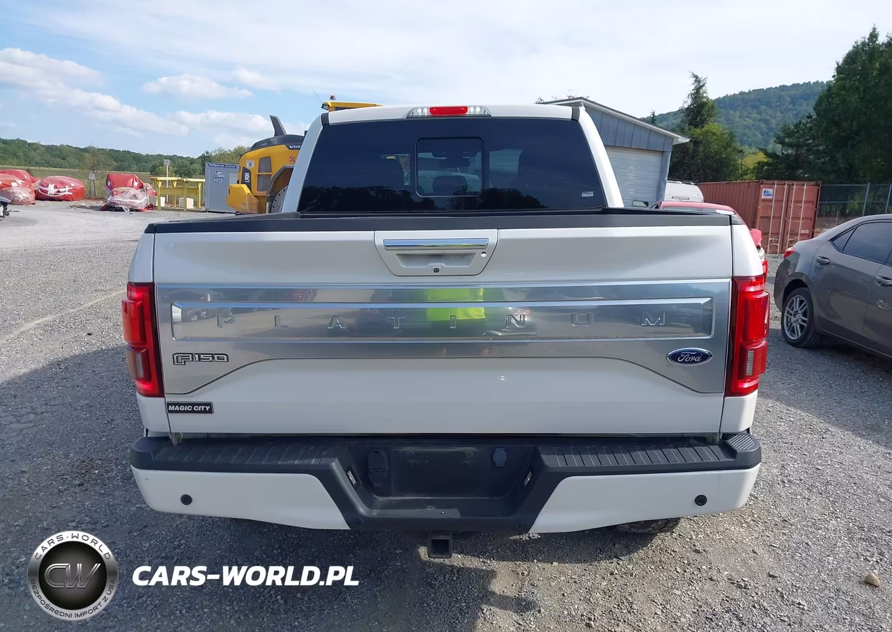2015 Ford F-150 Platinum VIN:1FTEW1EG0FFB87410 - 16